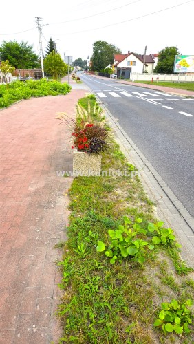 -Widok na Klembów -Widok na Klembów