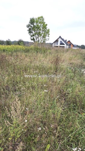 -widok na działkę. -widok na działkę.